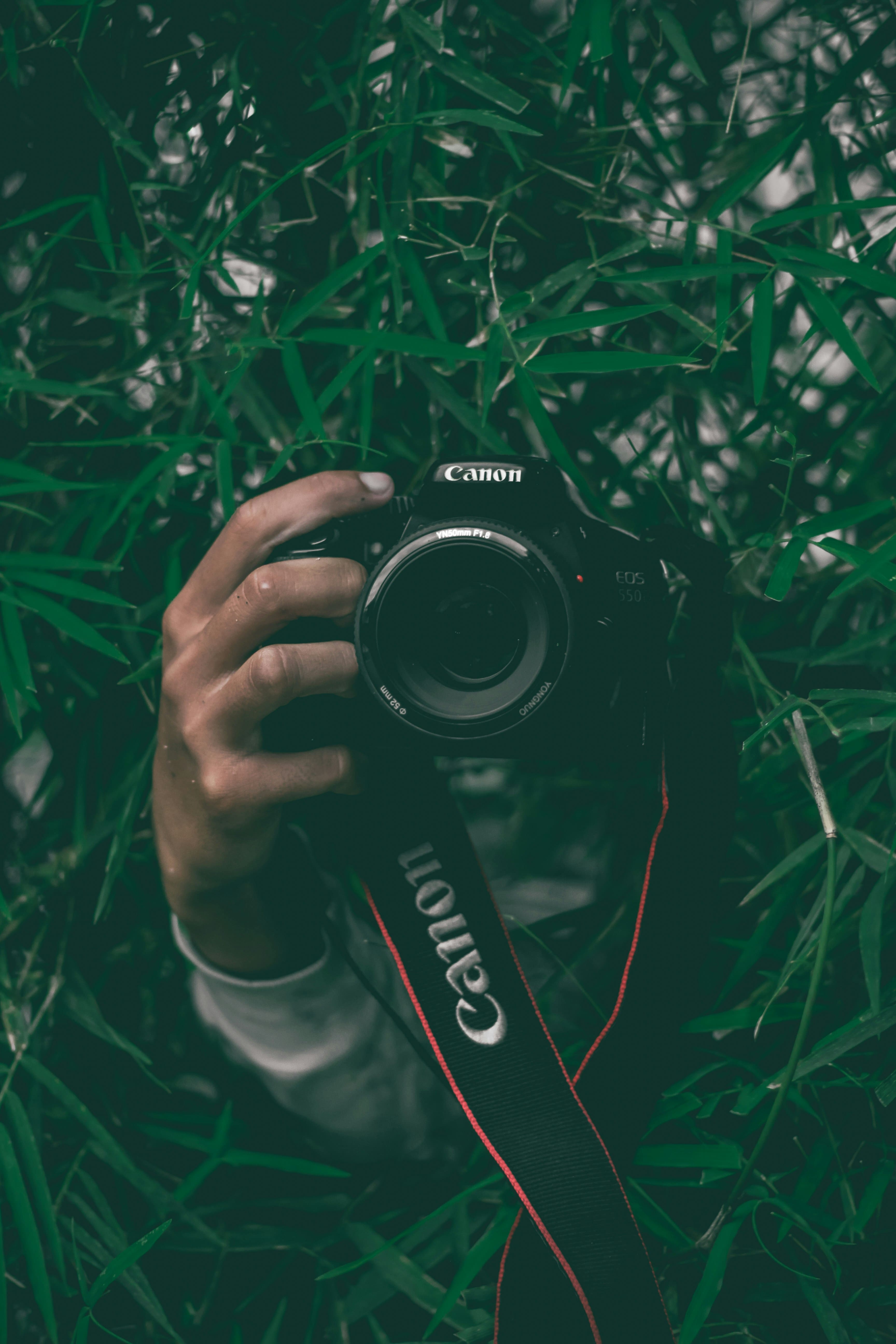 Photographer 3
